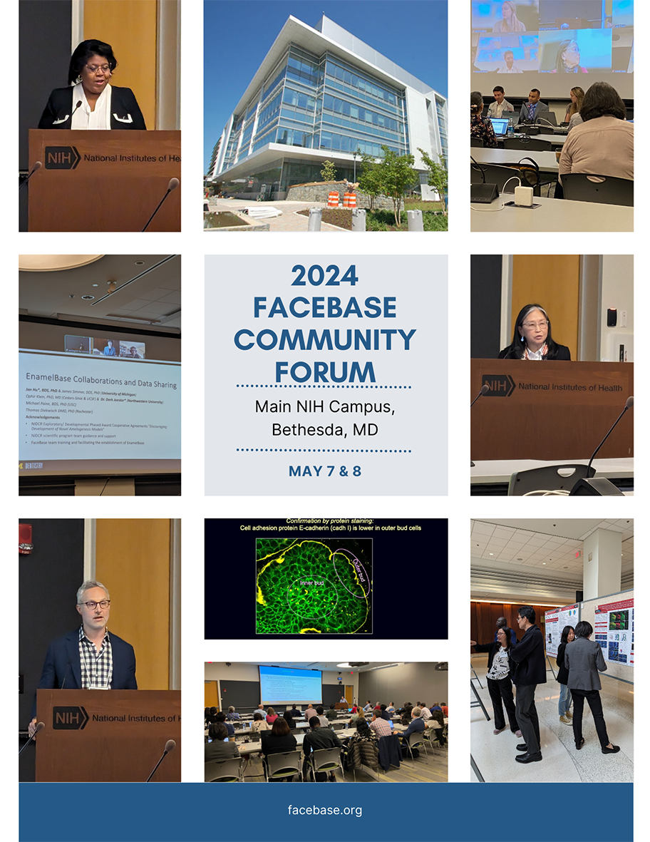 Photos from the FaceBase Forum