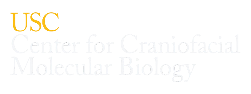 USC Center for Craniofacial Molecular Biology