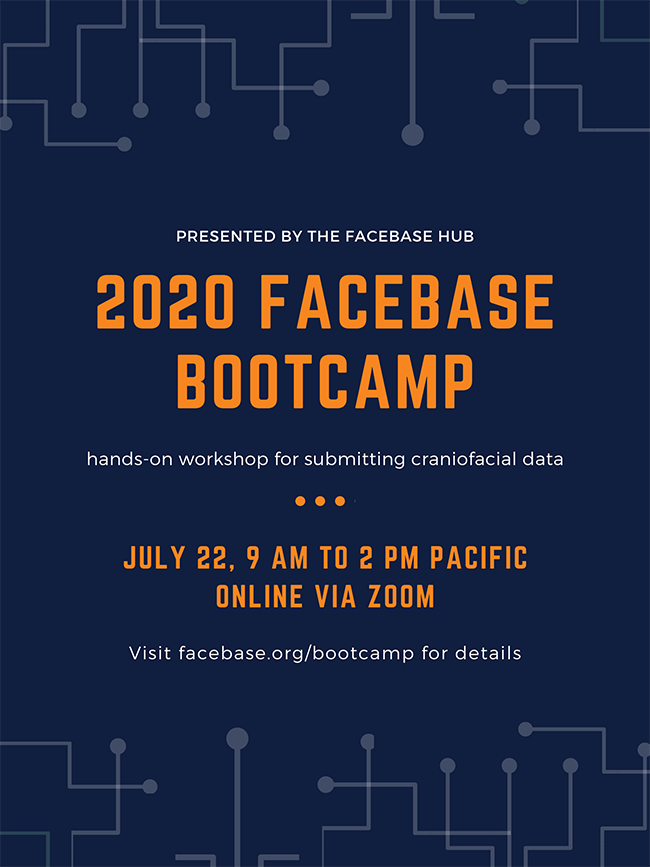 Flyer for Bootcamp