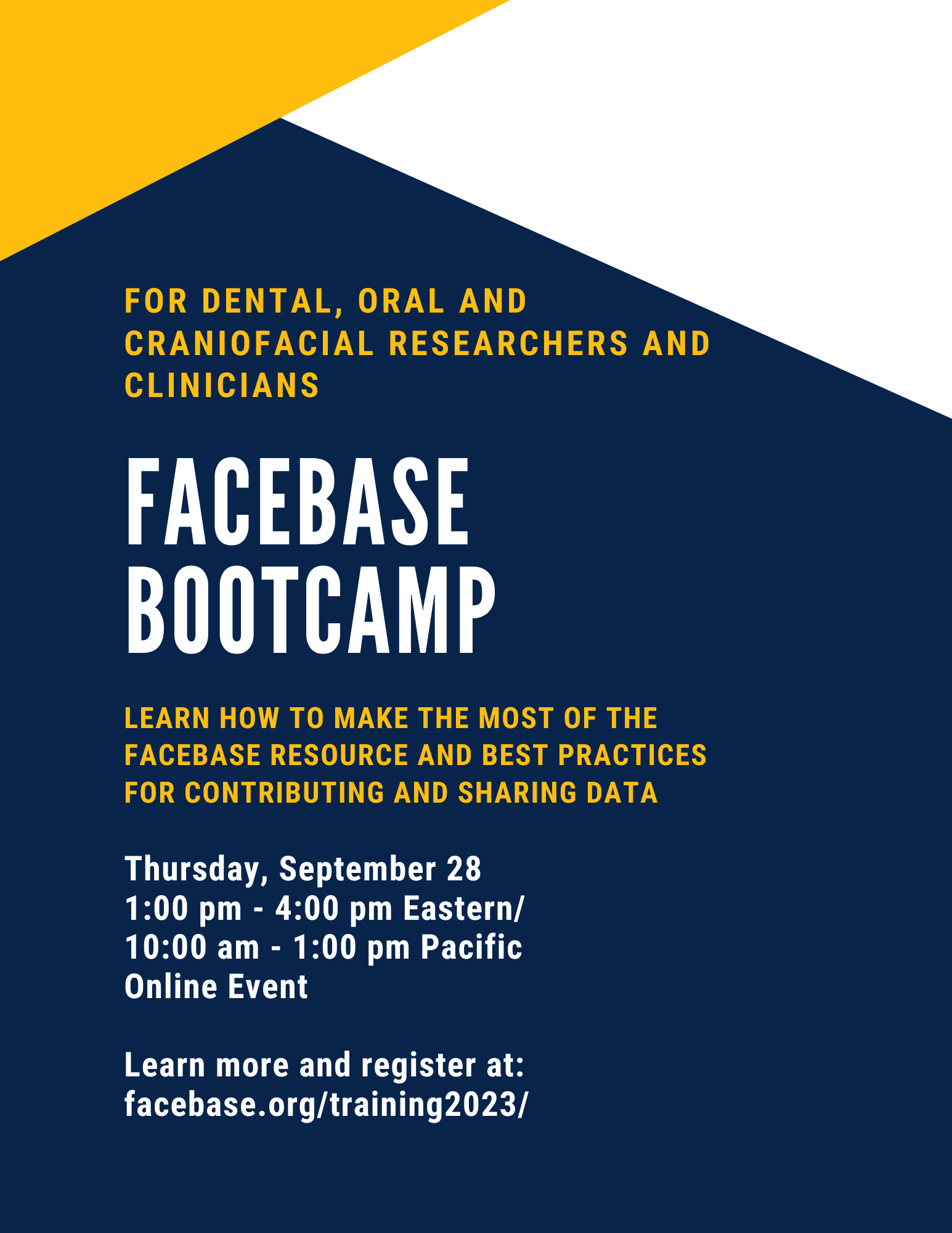 Flyer for Bootcamp