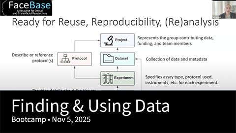 Finding & Using Data