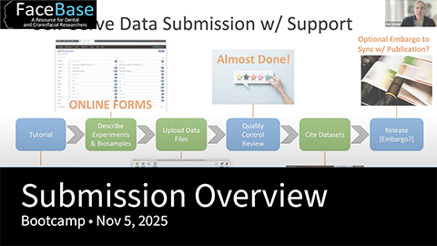 Data Submission Overview