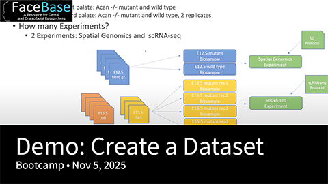 Demo: Create your first Dataset