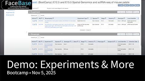 Demo: Create Experiments and Biosamples