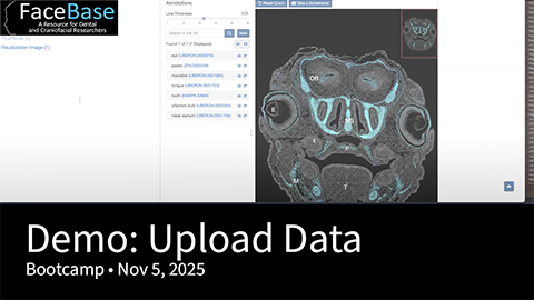 Demo: Upload Files and Add Protocols