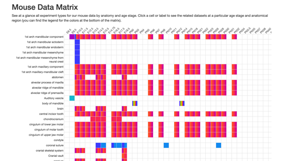 Screenshot of the Mouse Data Summary