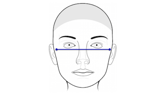 Example from 3D Facial Norms